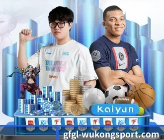 从此观赛更有深度